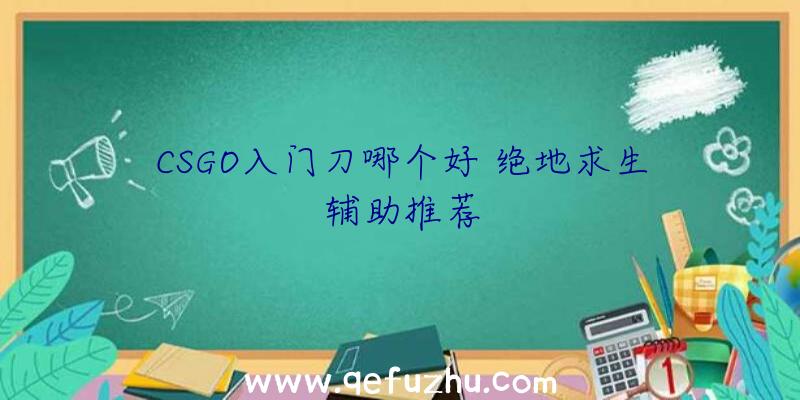 CSGO入门刀哪个好